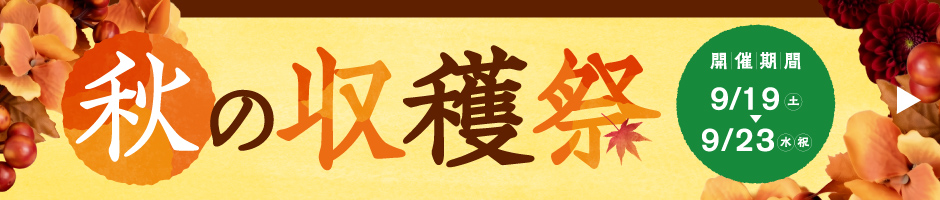 秋の収穫祭｜autumn fes